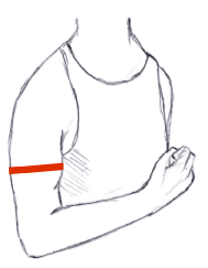 Height Measurement Guide